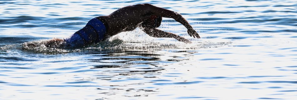black short coat large dog in water