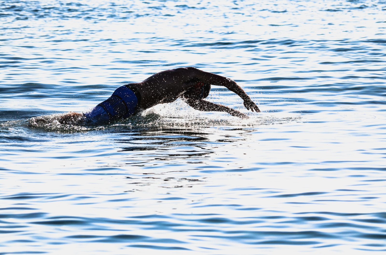 black short coat large dog in water